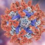 Infección por parechovirus humano