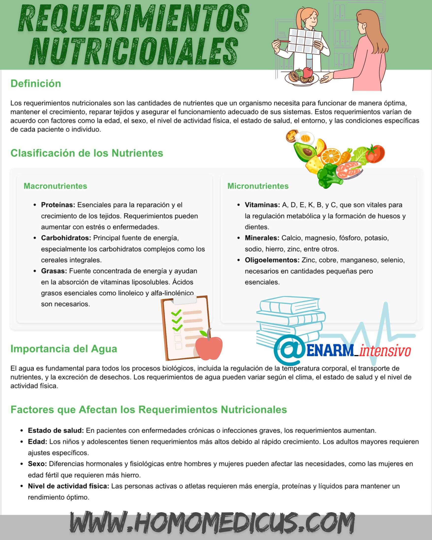 🎴Tarjeta de repaso: Requerimientos nutricionales
