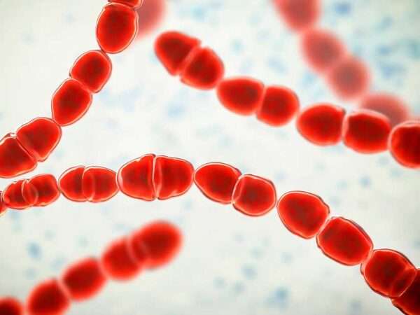 Infecciones por Streptococo del Grupo A