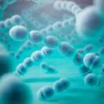 Infecciones estreptocócicas no pertenecientes al grupo A