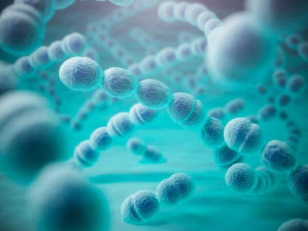 Infecciones estreptocócicas no pertenecientes al grupo A