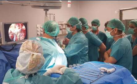 Competencias de docencia e investigación del cirujano