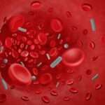 Bacteremia y sepsis por bacterias Gram-negativas