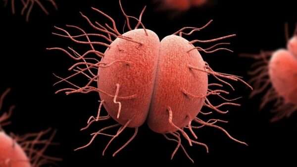 Infecciones gonocócicas