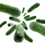 Infecciones anaeróbicas