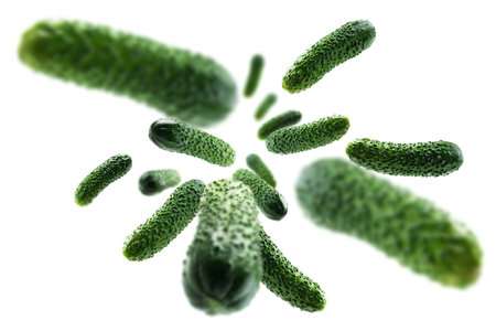 Infecciones anaeróbicas