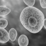 Neumocistosis (neumonía por Pneumocystis jirovecii)