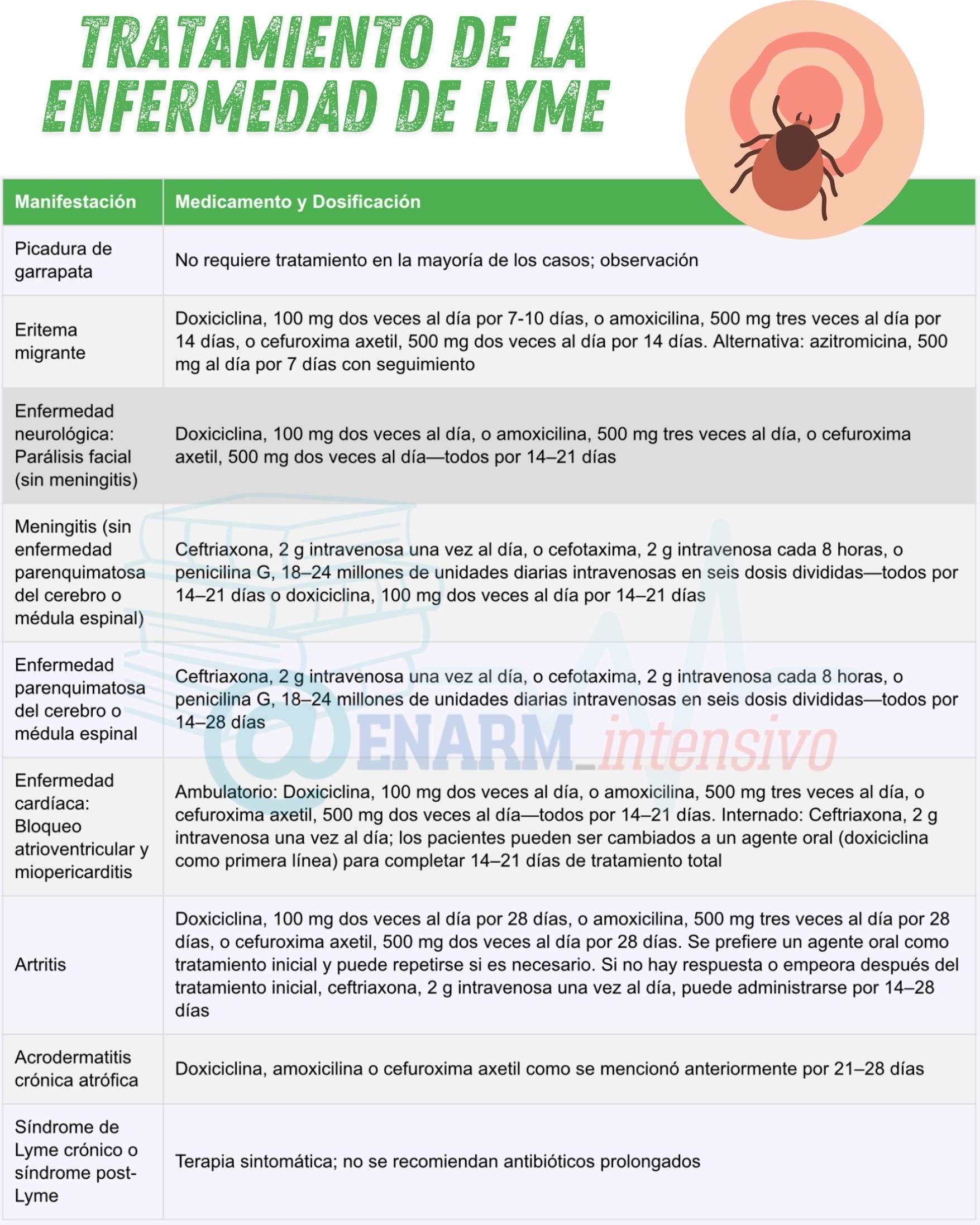 Tratamiento de la enfermedad de Lyme