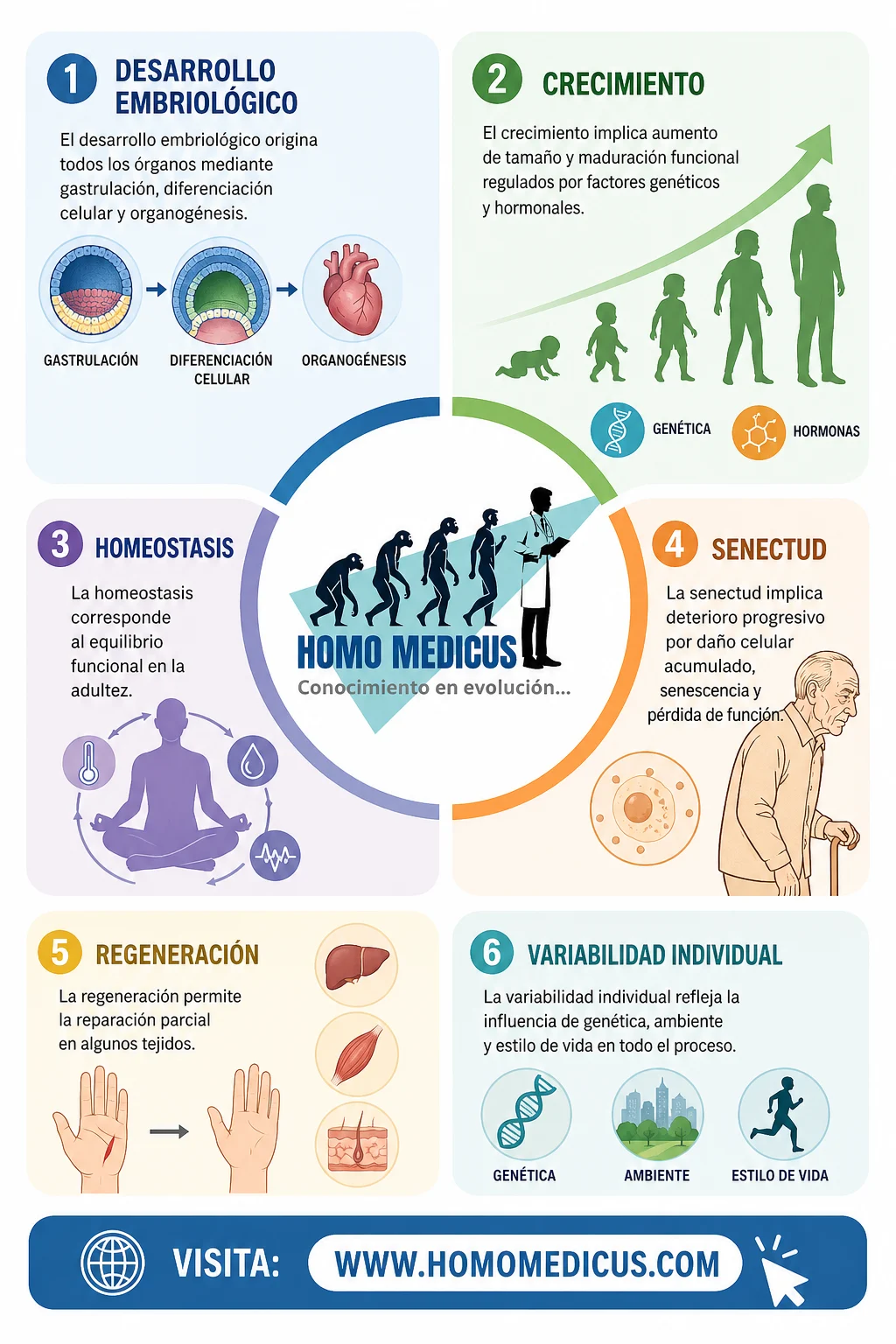 DESARROLLO DE ÓRGANOS