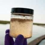 Intoxicación por arsénico