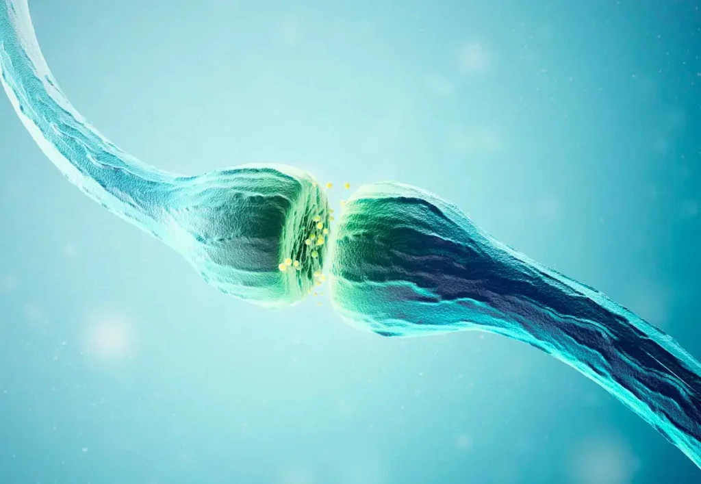 Intoxicación por anticolinérgicos