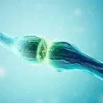 Intoxicación por anticolinérgicos