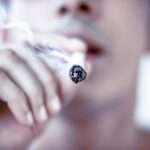 Intoxicación por marihuana y cannabinoides sintéticos