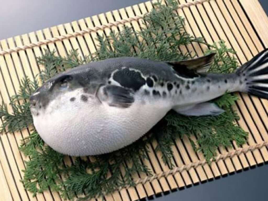 Envenenamientos por mariscos