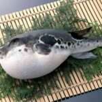 Envenenamientos por mariscos