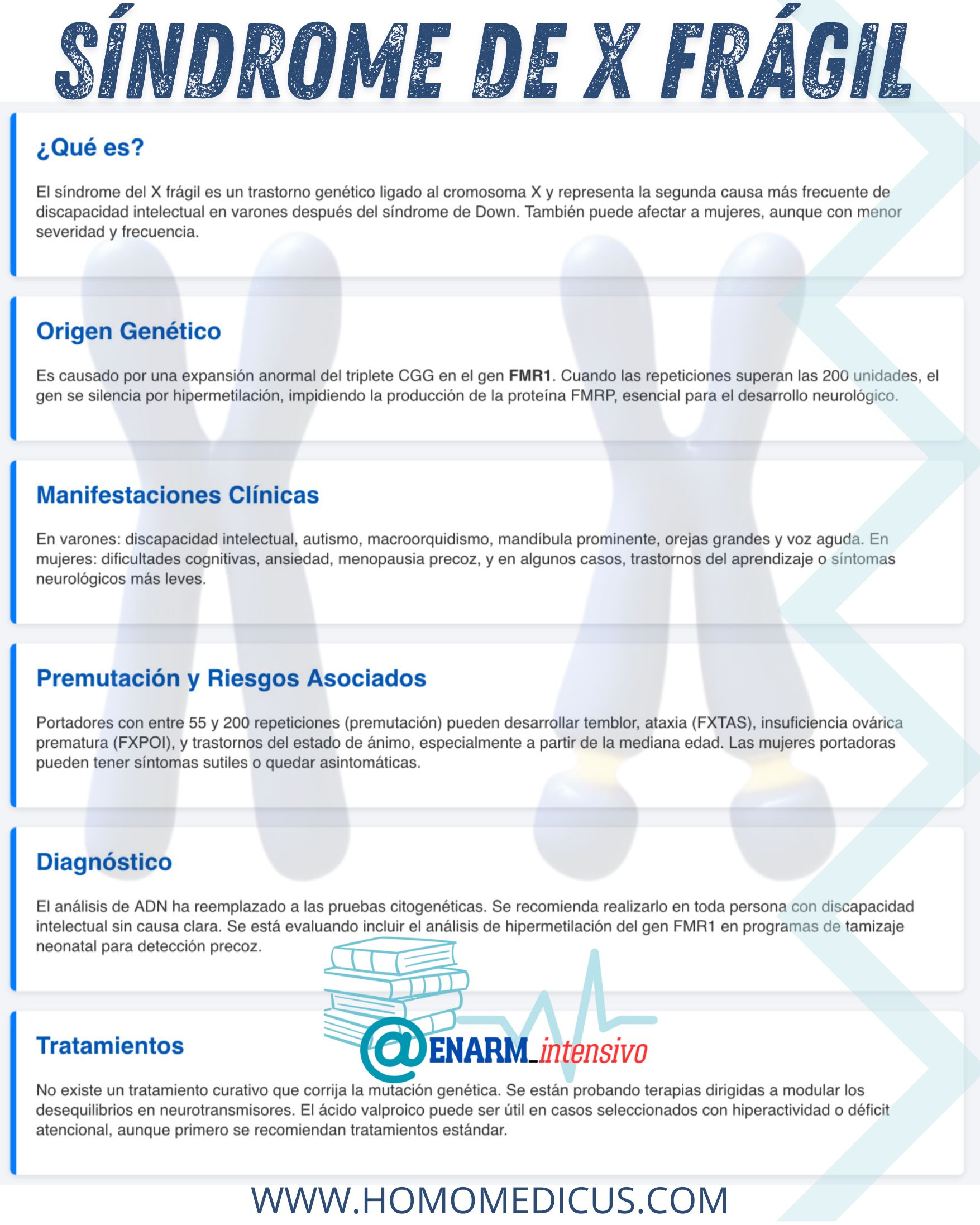 🎴TARJETA DE REPASO: Síndrome de X frágil
