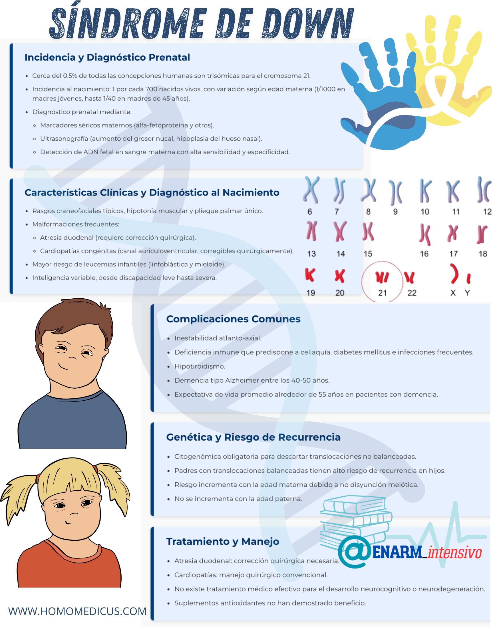 🎴TARJETA DE REPASO SÍNDROME DE DOWN