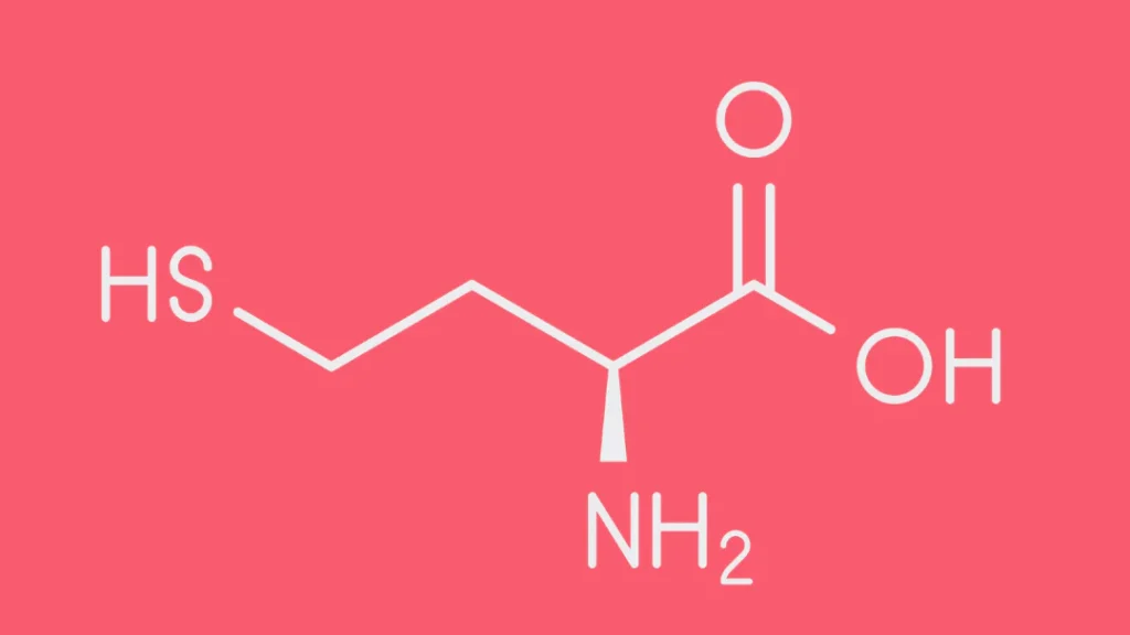 Trastornos del metabolismo de la homocisteína