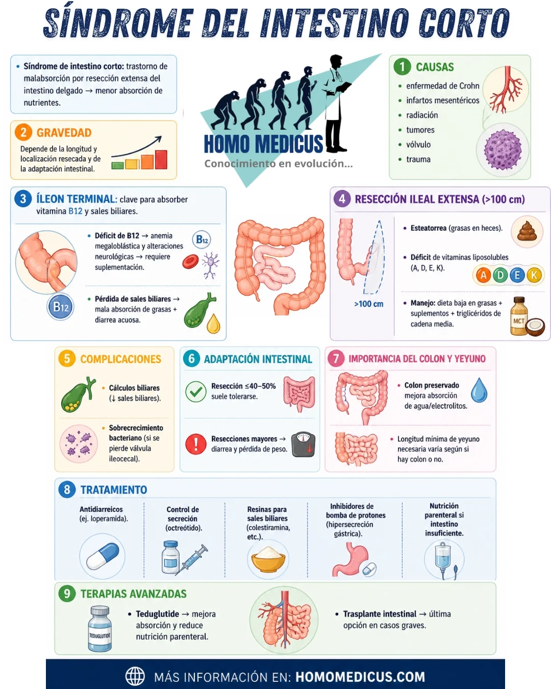 SÍNDROME DEL INTESTINO CORTO SÍNDROME DEL INTESTINO CORTO
