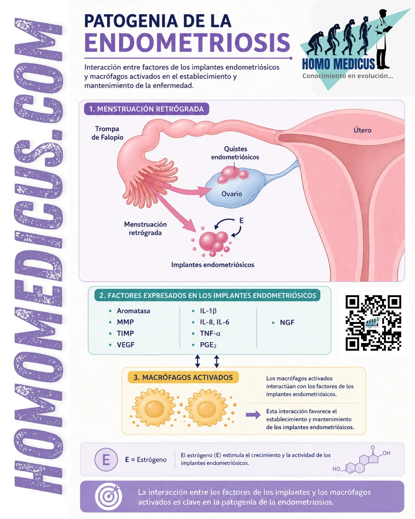 PATOGENIA DE LA ENDOMETRIOSIS