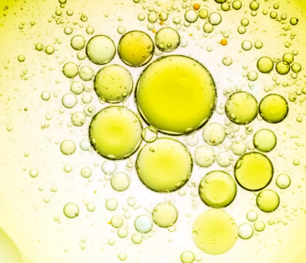 Importancia biológica de los lípidos