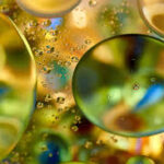 Clasificación de los lípidos