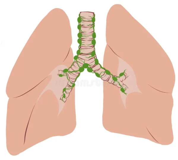 Drenaje linfático pulmonar