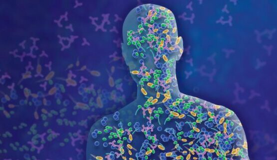 Proyecto microbioma humano