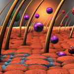 Evolución del microbioma y la flora normal