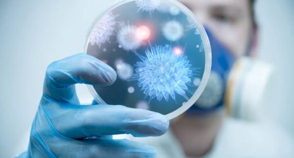 Microbiología diagnóstica en la práctica clínica