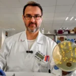 La función educativa del laboratorio de microbiología clínica