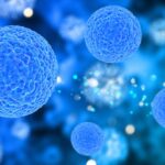 Células de la respuesta inmunitaria