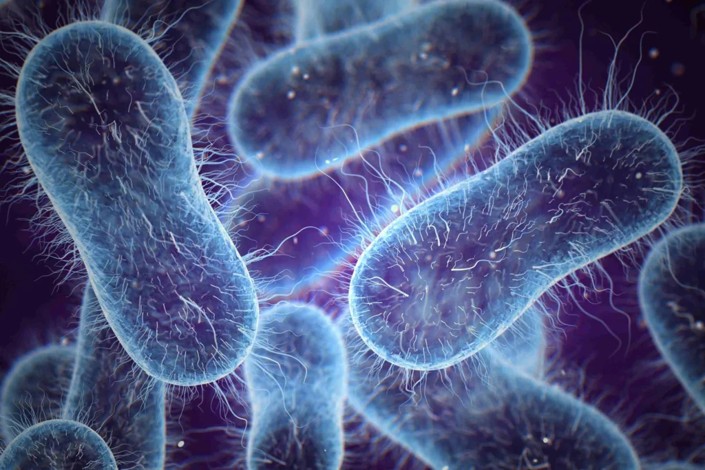 Metabolismo, Energía, y Biosíntesis de las Bacterias