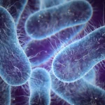 Metabolismo, Energía, y Biosíntesis de las Bacterias