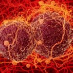 Mutación, Reparación y Recombinación en Bacterias