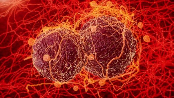 Mutación, Reparación y Recombinación en Bacterias