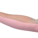 nervio cutáneo antebraquial medial (braquial cutáneo interno)