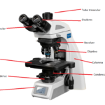 Componentes Mecánicos del Microscopio