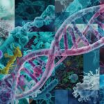 Mecanismos de transferencia de material genético bacteriano