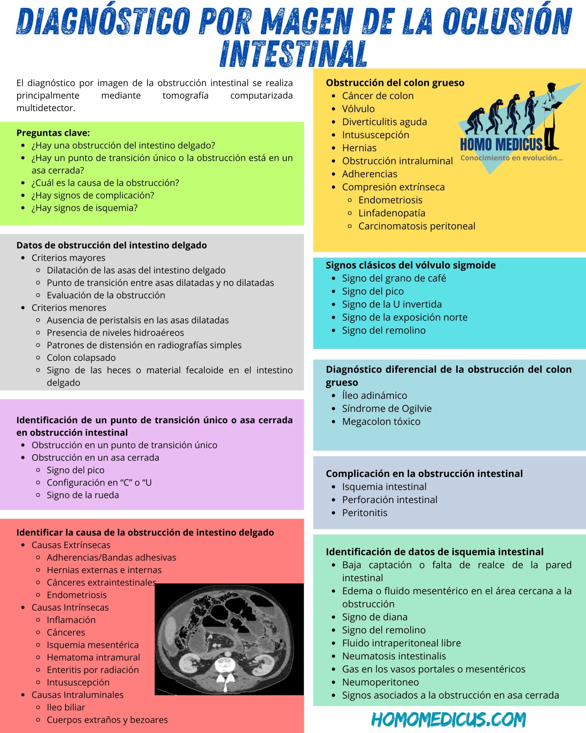 Diagnóstico por imagen de la obstrucción intestinal 