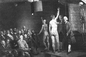 Anatomistas destacados del Siglo XVIII