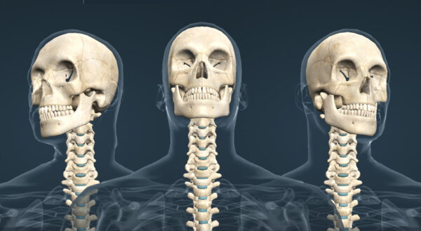 Estática y movimientos de la cabeza sobre la columna vertebral