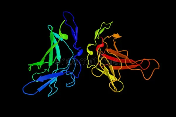 Factor de crecimiento similar a la insulina tipo 2