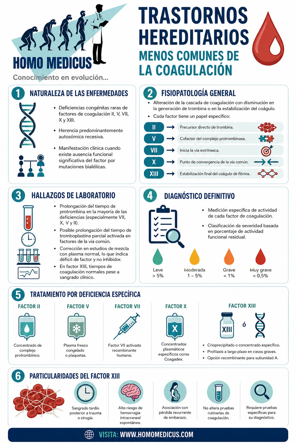 TRASTORNOS HEREDITARIOS MENOS COMUNES DE LA COAGULACIÓN TRASTORNOS HEREDITARIOS MENOS COMUNES DE LA COAGULACIÓN