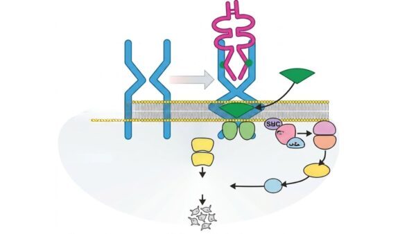 Agonistas del receptor de trombopoyetina en trombocitopenia por neoplasias hematológicas