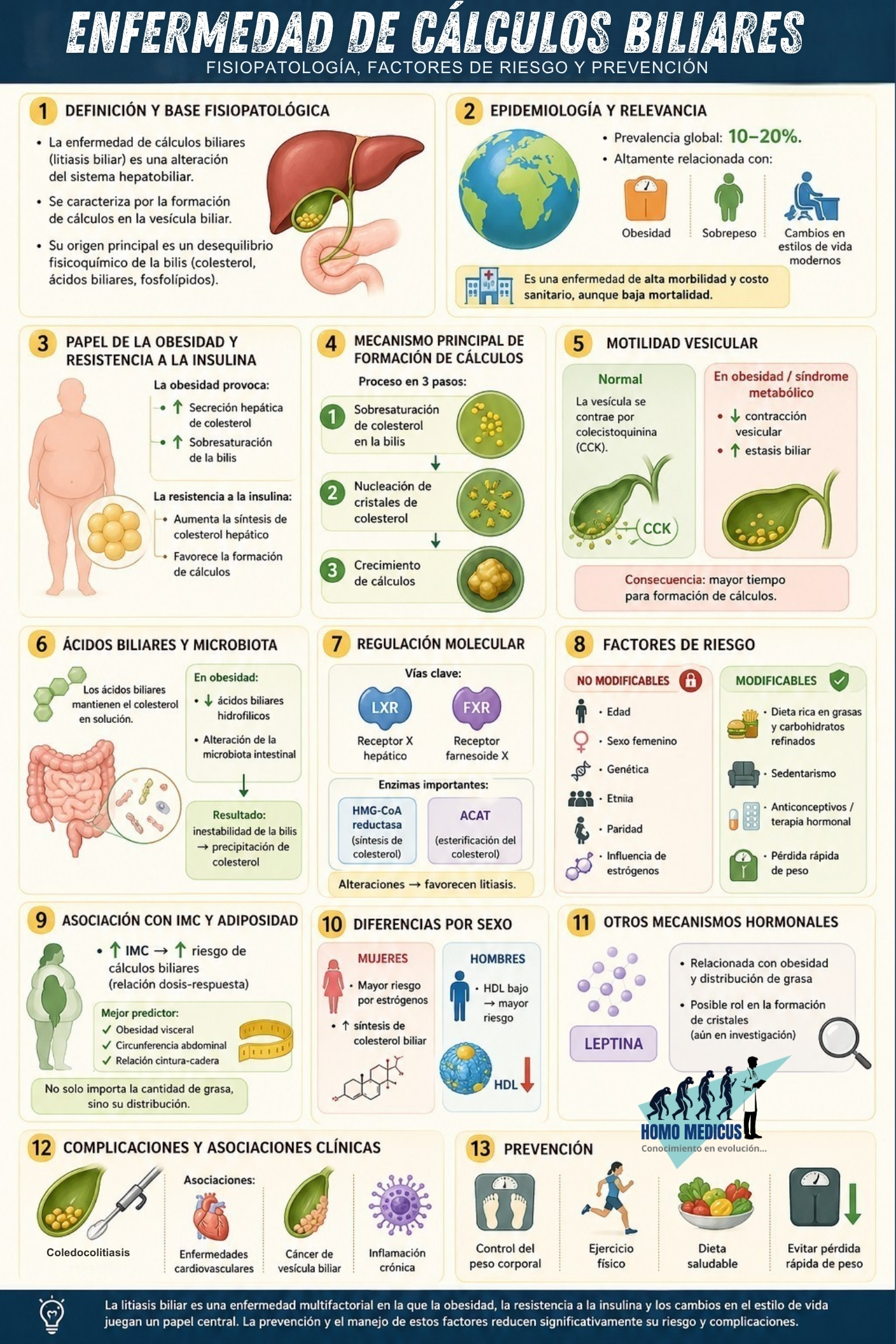 ENFERMEDAD POR CÁLCULOS BILIARES