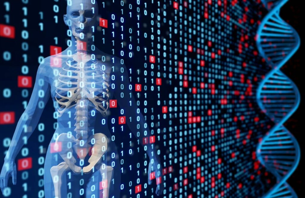 Regulación genética del patrón esquelético