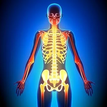 Regulación hormonal del crecimiento óseo