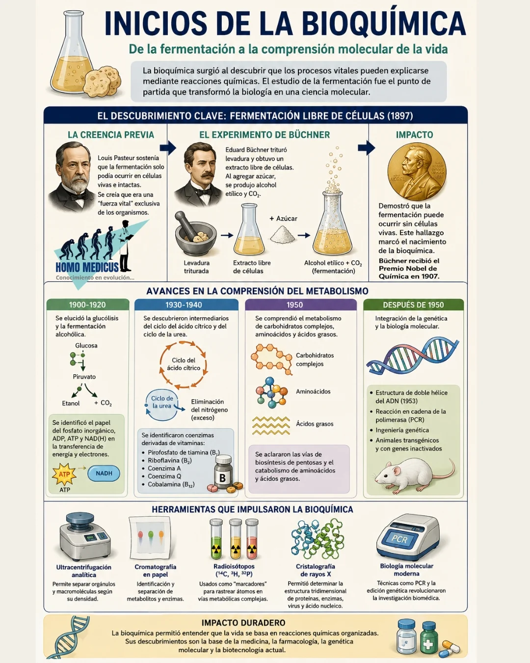 INICIOS DE LA BIOQUÍMICA INICIOS DE LA BIOQUÍMICA