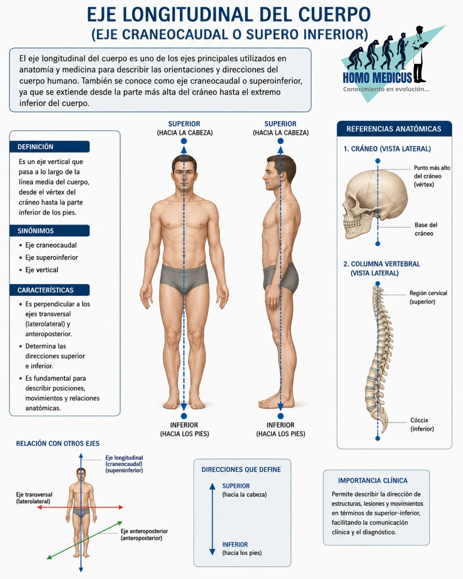 EJE LONGITUDINAL DEL CUERPO EJE LONGITUDINAL DEL CUERPO